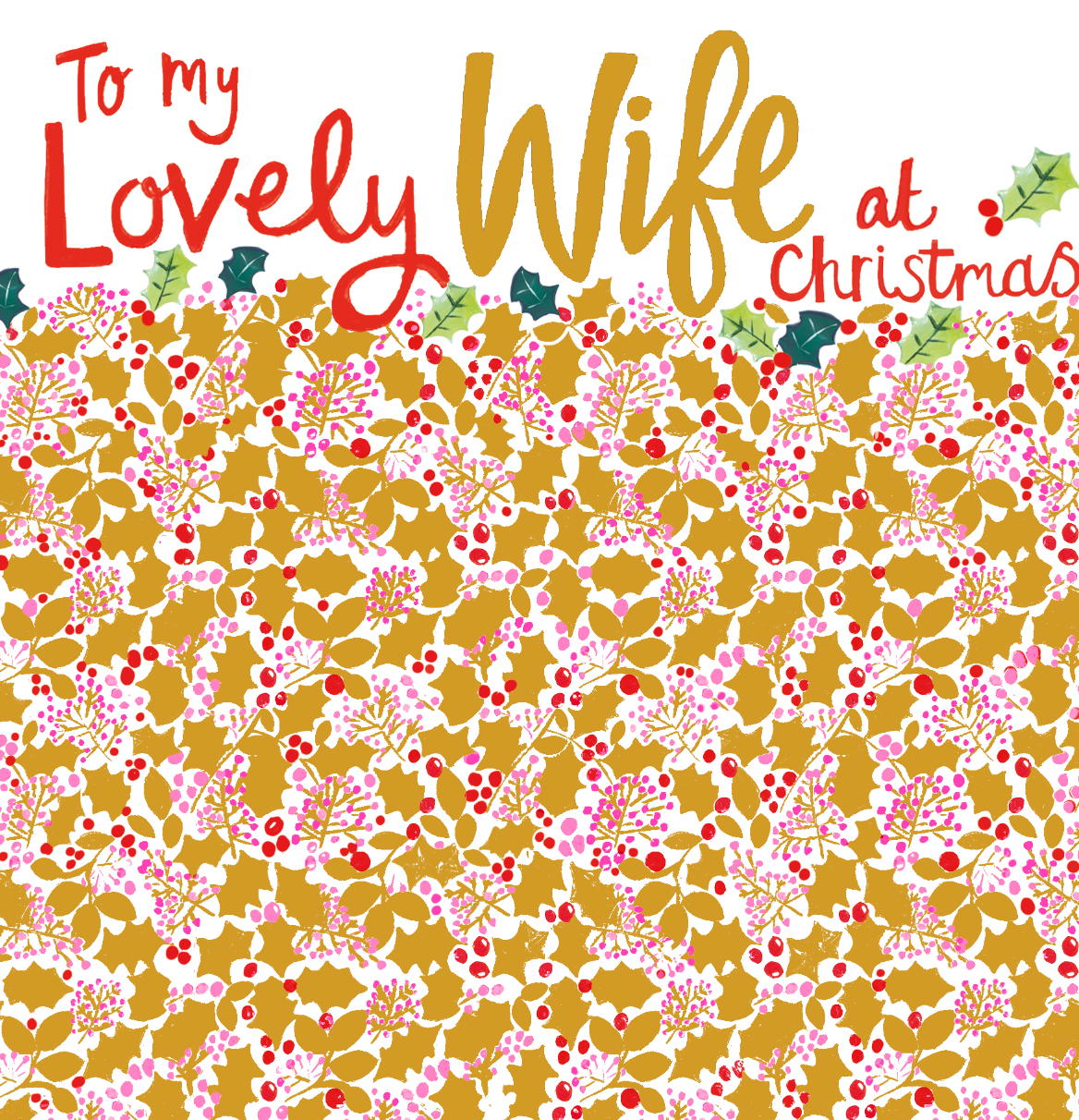 TO MY LOVELY WIFE - HOLLY