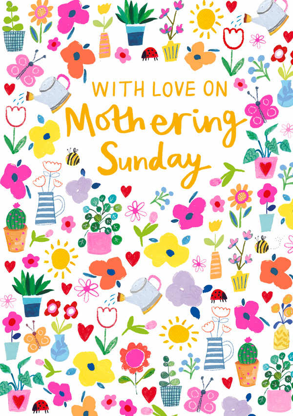 MOTHERING SUNDAY POTS AND PLANTS