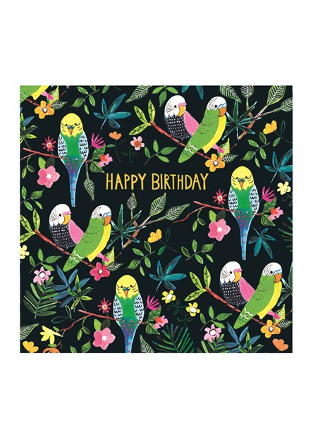 Happy Birthday Budgies